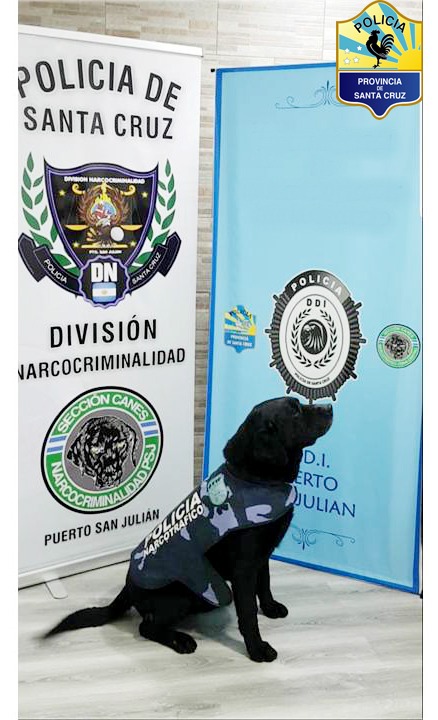 WhatsApp Image 2019-10-21 at 16.00.58.jpeg