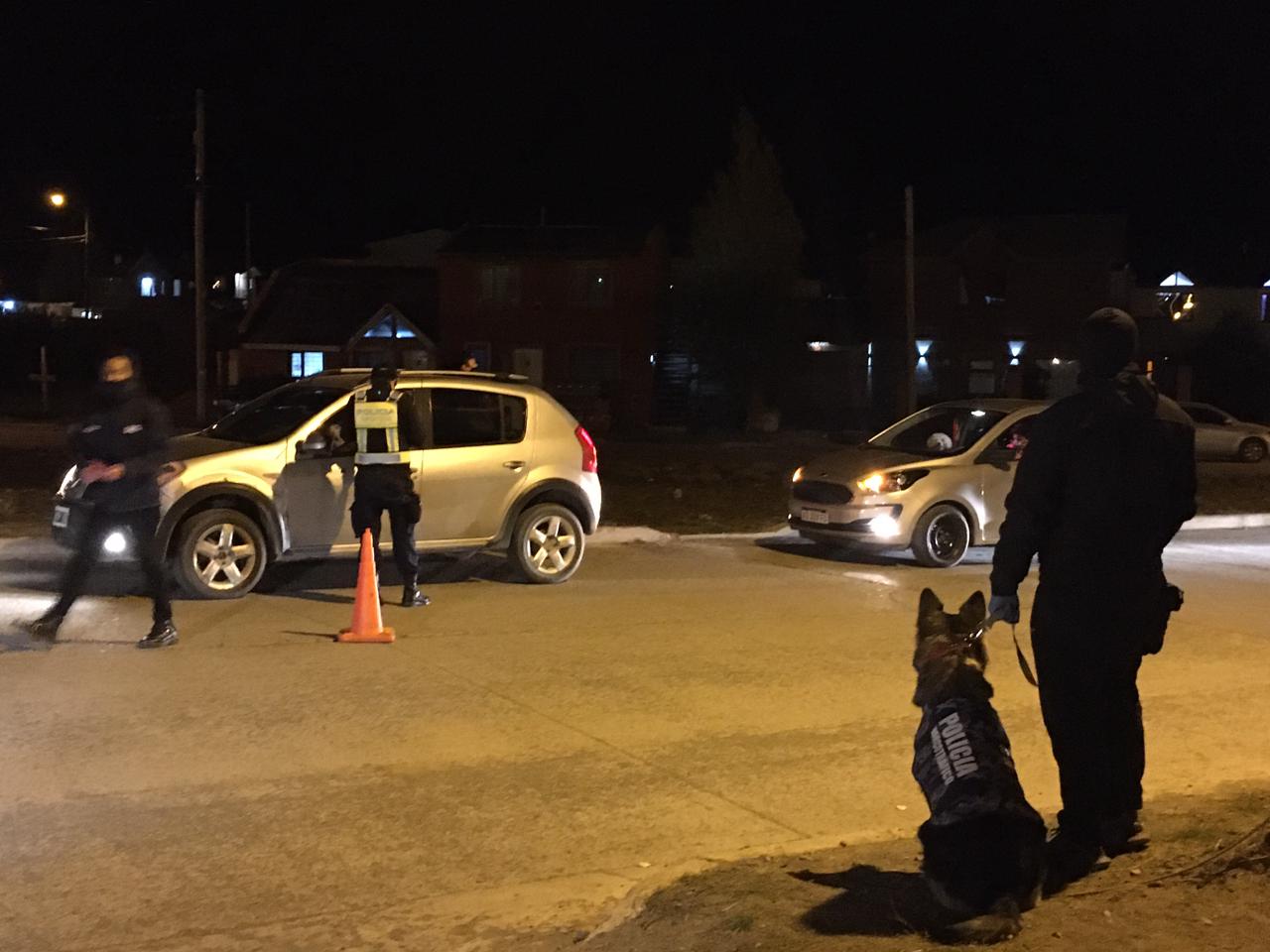 WhatsApp Image 2021-05-14 at 19.59.03.jpeg